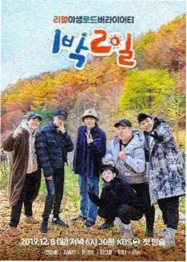 单身即地狱 日韩在线免费视频观看